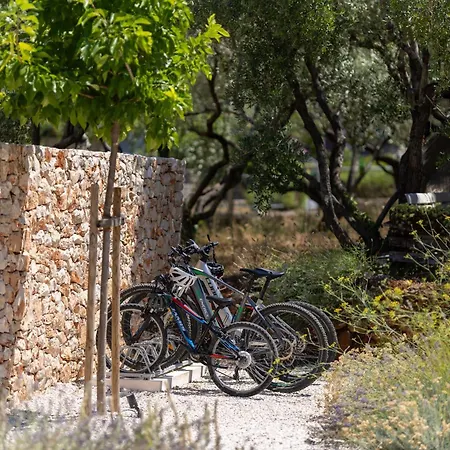 Nine Olives Hvar