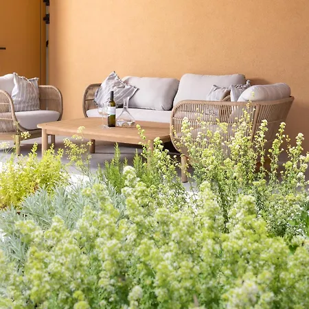 Nine Olives Hvar * スタリー・グラード