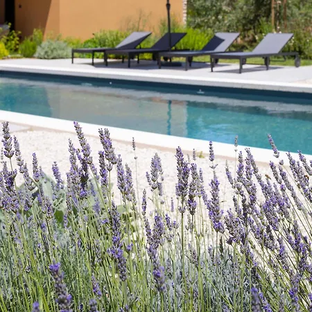 Nine Olives Hvar ヴィラ