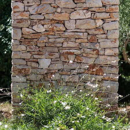 Nine Olives Hvar فيلة ستاري غراد